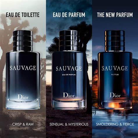 perfumes like dior sauvage|dior sauvage knockoff.